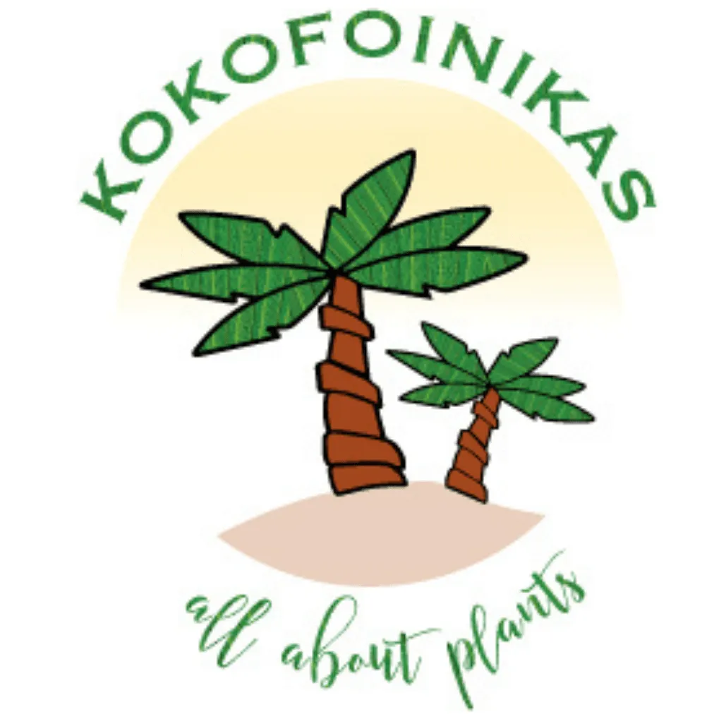 Kokofoinikas garden retail and eCommerce project